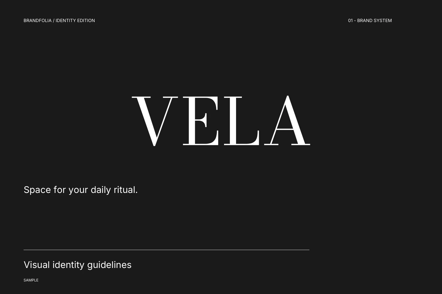 VELA · Visual identity guidelines · 1 / 30